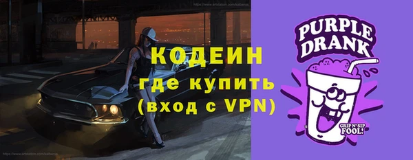 мдпв Пересвет