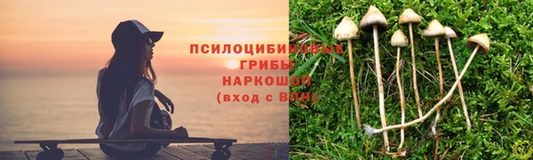 Альфа ПВП Арсеньев