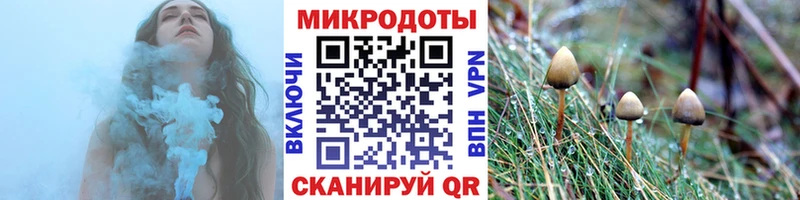 hydra ТОР  Макушино  Галлюциногенные грибы Psilocybe 